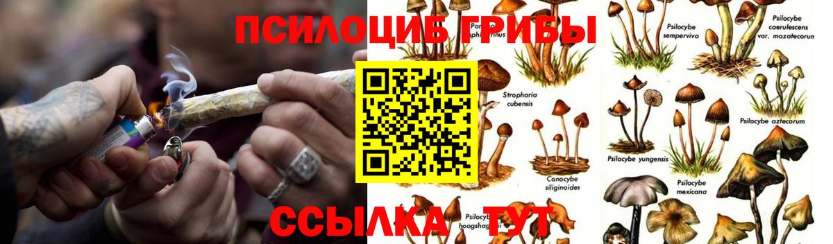 Галлюциногенные грибы GOLDEN TEACHER Обнинск